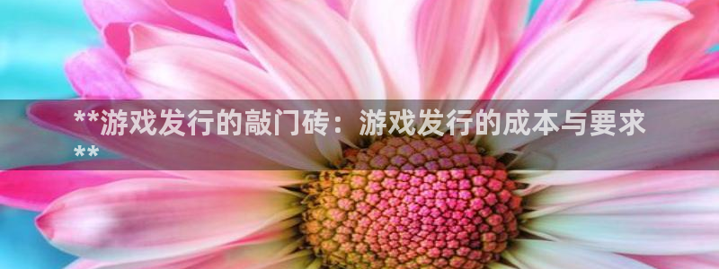新航娱乐官网最新版本更新内容：**游戏发行的敲门砖：游戏发行的成本与要求
**
