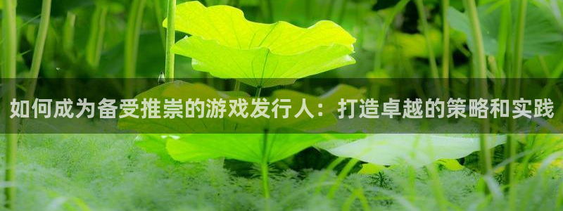 新航娱乐背后的老板是谁：如何成为备受推崇的游戏发行人：打造卓越的策略和实践