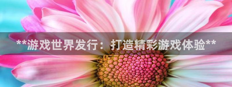 新航娱乐公司旗下艺人名单