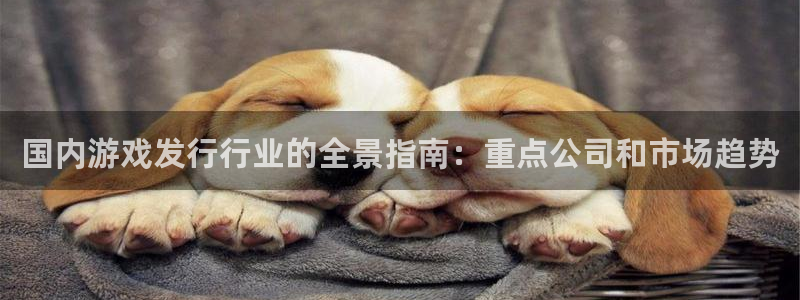 新航娱乐的员工工资福利及待遇如何