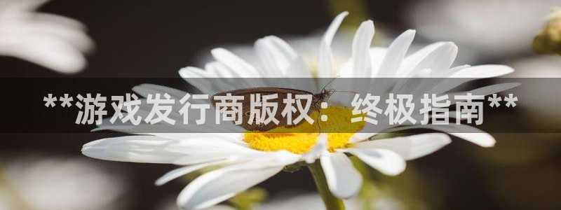 新航娱乐倒闭了吗知乎文章：**游戏发行商版权：终极指南**