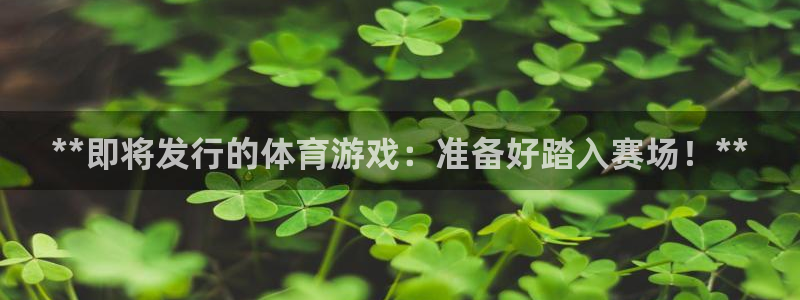 新航娱乐元哥：**即将发行的体育游戏：准备好踏入赛场！**