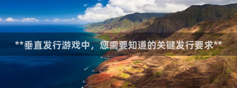 新航娱乐探索无限撼底空间：**垂直发行游戏中，您需要知道的关键发行要求**