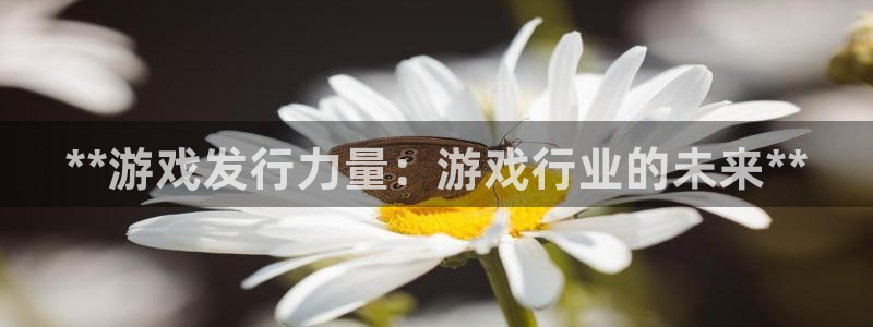 新航娱乐平台app下载：**游戏发行力量：游戏行业的未来**