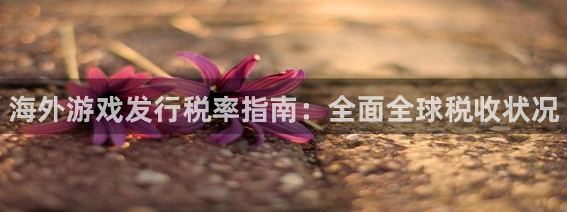 新航娱乐APP的最新版本更新内容：海外游戏发行税率指南：全面全球税收状况