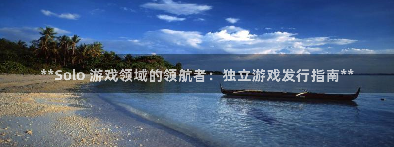 新航娱乐扣款后还能重新扣嘛怎么办：**Solo 游戏领域的领航者：独立游戏发行指南**
