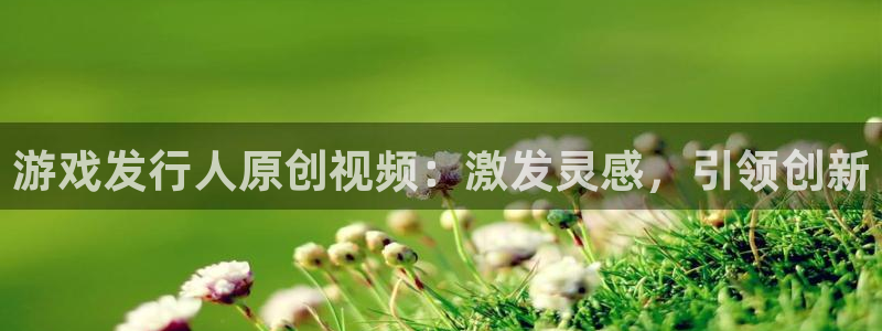 新航娱乐公司简介和历史背景：游戏发行人原创视频：激发灵感，引领创新