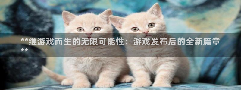 新航娱乐的创始人简介：**继游戏而生的无限可能性：游戏发布后的全新篇章
**