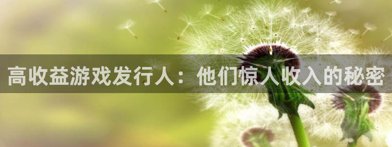 新航娱乐的创始人是谁啊：高收益游戏发行人：他们惊人收入的秘密