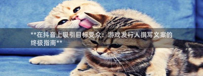 新航娱乐app手机版官网下载安装