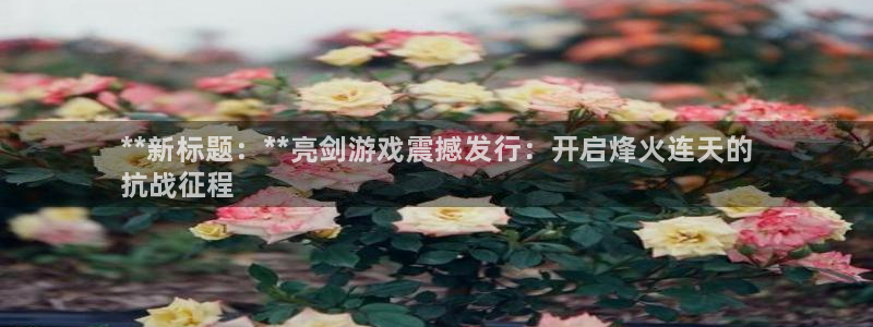 新航娱乐最新招聘信息