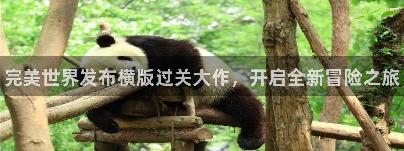 新航娱乐app官方免费下载：完美世界发布横版过关大作，开启全新冒险之旅