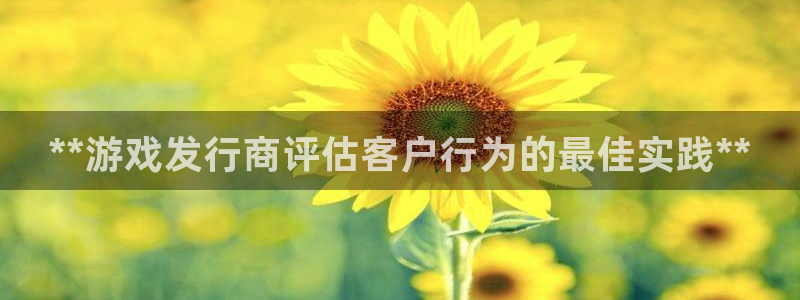 新航娱乐官网最新版本更新内容：**游戏发行商评估客户行为的最佳实践**
