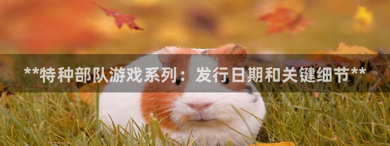 新航娱乐的创始人简介图片