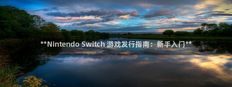 新航娱乐公司扣费流程详解视频下载：**Nintendo Switch 游戏发行指南：新手入门**