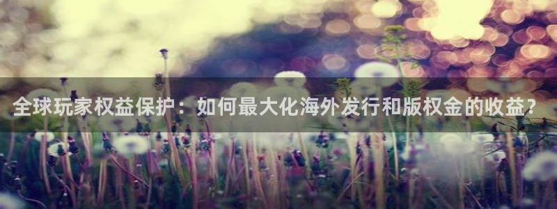 新航娱乐公司扣费流程详解视频下载：全球玩家权益保护：如何最大化海外发行和版权金的收益？