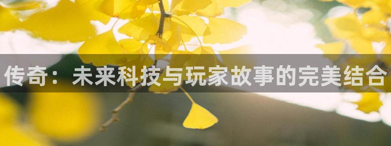 新航娱乐直开.中国手机版安卓版介绍