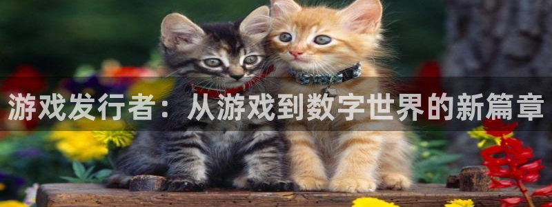 新航娱乐安卓版下载：游戏发行者：从游戏到数字世界的新篇章