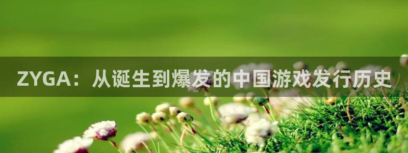 新航娱乐倒闭了吗知乎：ZYGA：从诞生到爆发的中国游戏发行历史