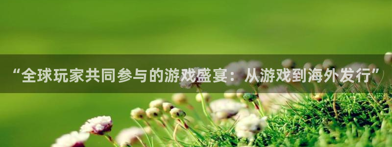 新航娱乐扣款后还能重新扣费吗知乎：“全球玩家共同参与的游戏盛宴：从游戏到海外发行”