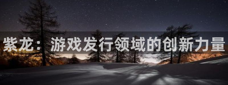 新航娱乐的创始人简介：紫龙：游戏发行领域的创新力量