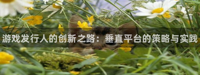 新航娱乐app最新版本更新内容介绍